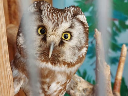 Приметы на 1 ноября: сделаешь так – жди семь бед