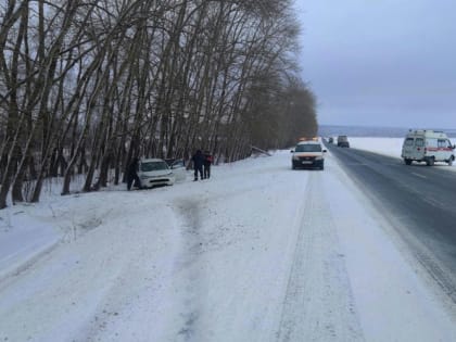 В Мордовии иномарка врезалась в дерево в кювете, два человека госпитализированы
