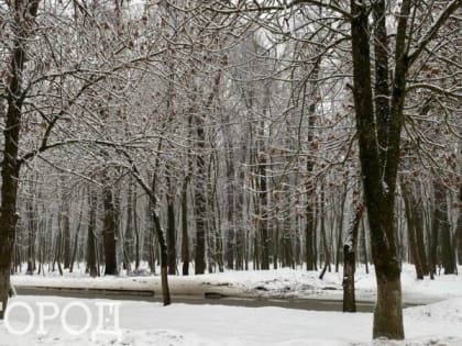 Синоптики в шоке, что творит природа: часть России накроет мокрый снег — полный приход зимы