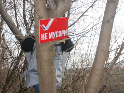 За выброшенный из машины мусор будут наказывать рублём