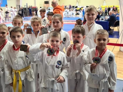 Представители мордовского тхэквондо завоевали медали в Тамбове