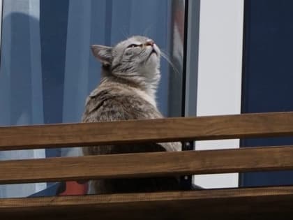 Синоптики рассказали о погоде в Мордовии на выходные 