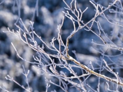 В Мордовии объявили оперативное предупреждение