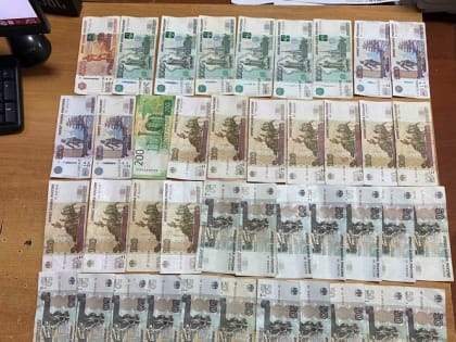 Мужа и жену в Мордовии осудили за кражу денег из найденного кошелька 