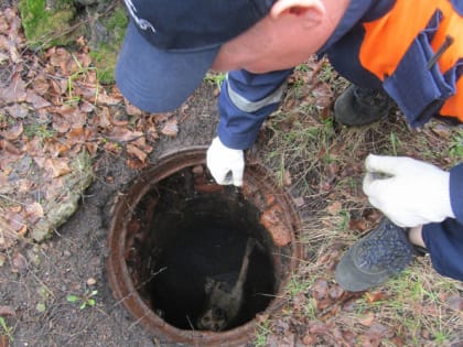 Мордовские спасатели в прошлом году помогали людям, кошкам и даже змее