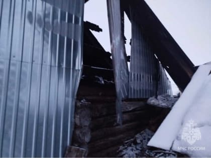 В Мордовии ночью тушили пожар