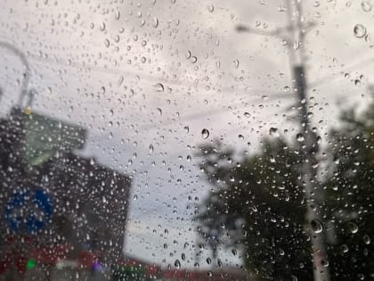 Синоптики рассказали о погоде в Мордовии на выходные