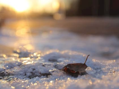 В Мордовии сегодня ночью похолодает до -25 градусов