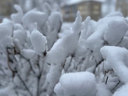 Снег в теплицу. Для чего? 