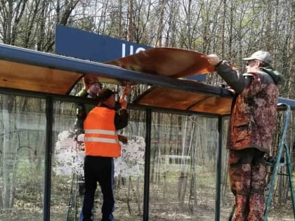 Власти Саранска отчитались о ходе уборки города