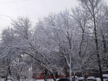 В Мордовии в четверг днем -7…-2°С