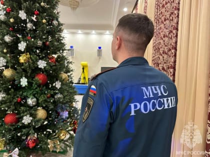 В Мордовии новогодние празднования прошли под контролем сотрудников МЧС
