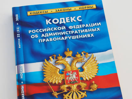 Информация о работе Административно-технической инспекции Администрации г.о. Саранск