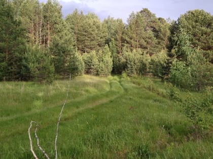 В Мордовии проснулись клещи