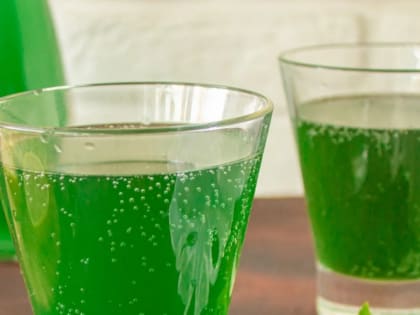 В Мордовии родителей детей пугают «отравленным тархуном»