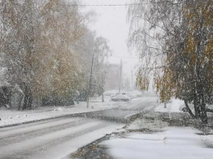 Несколько сёл Краснослободского района остались без света из-за ветра и дождя