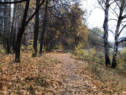 15 октября в Мордовии ожидается дождь и потепление до +17