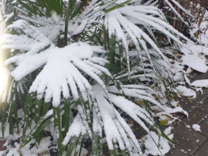 Аномалии преследуют, погода подкладывает свинью: ливни с грозами, снег с 20 по 23 июня — все как гром среди ясного неба