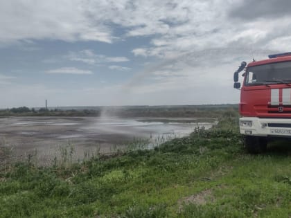 В Саранске повторно обрабатывают иловые карты