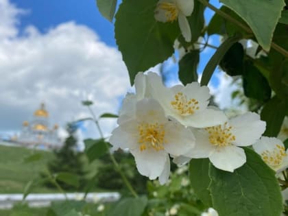 Синоптики рассказали о погоде в Мордовии на ближайшую неделю 