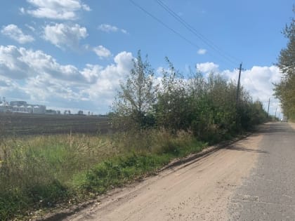 Жителя Мордовии будут судить за хранение конопли