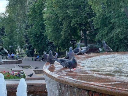 В Саранске из-за жары объявлено оперативное предупреждение