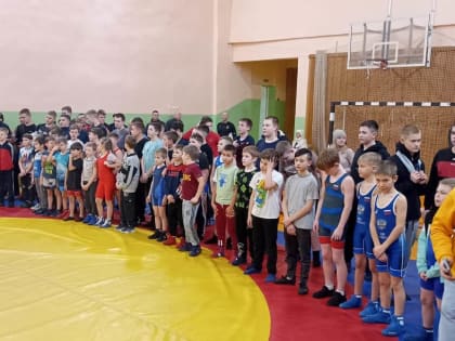 В Тургеневском ФОКе прошло первенство Ардатовского муниципального района по вольной борьбе