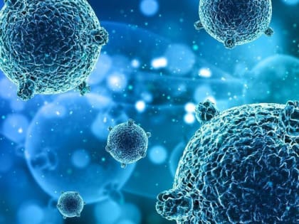 В Восточной Европе начался повальный мор из-за жуткой малоизученной болезни