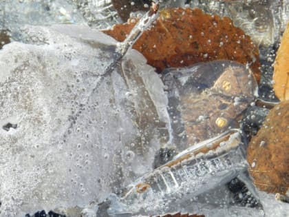 Зима пришла раньше: Гидрометцентр предсказывает морозы до -2°C в августе