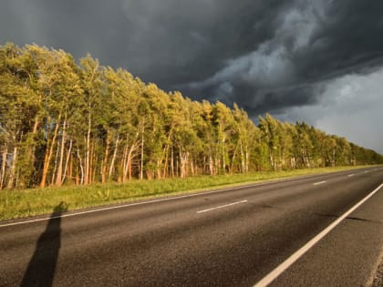 Гидрометцентр сообщил, куда идут дожди и резкое похолодание