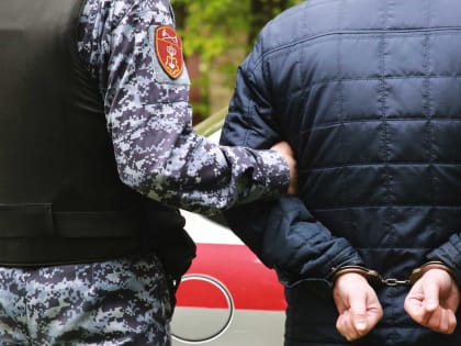 Житель Мордовии ударил соседа ножом после пьяной ссоры