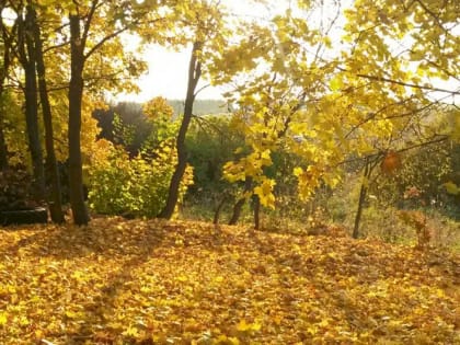Синоптики рассказали, каким будет сентябрь