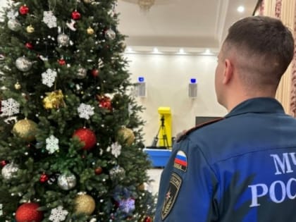 В новогоднюю ночь в Саранске пожаров не зафиксировано