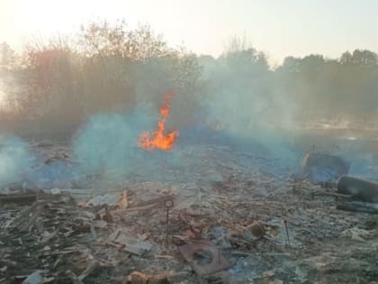 В Ковылкинском районе Мордовии из-за пала сухой травы сгорели 4 дома