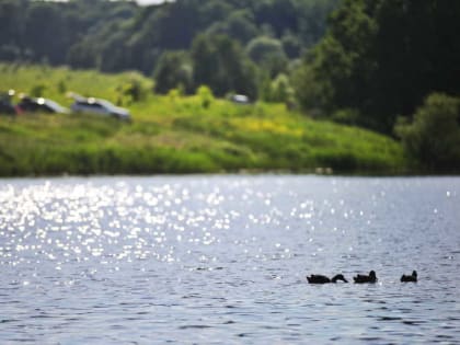 В Мордовии появятся новые зоны отдыха