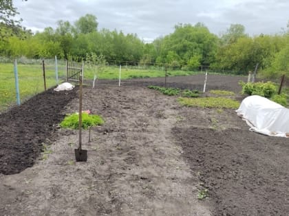 Зимняя подготовка сада: как защитить растения от вредителей