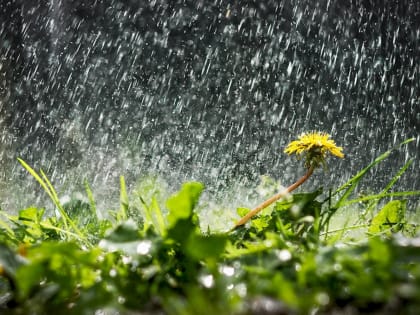 В Саранске объявлено оперативное предупреждение