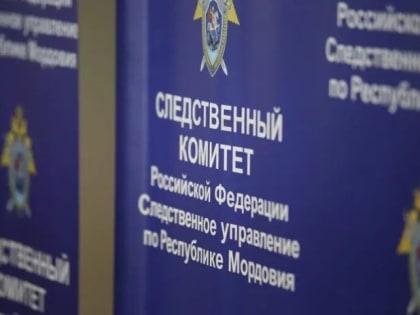 Пост о стае бродячих собак в Саранске заинтересовал Следственный комитет РМ 