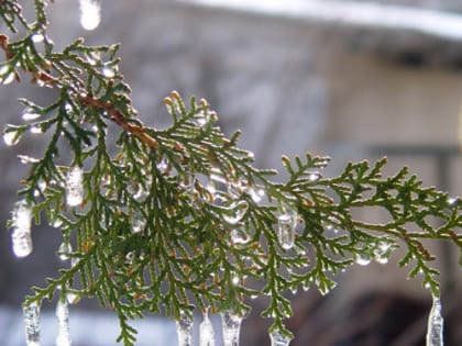 В Саранске объявлено оперативное предупреждение - гололед