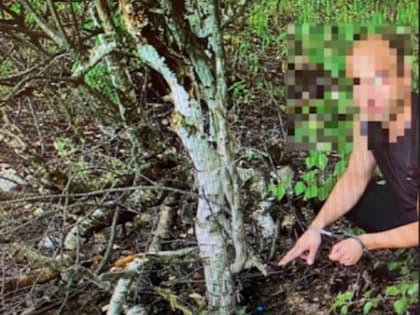 Друзья-закладчики из Саранска “заработали” 17,5 лет колонии 