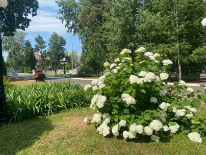 В Саранске объявлено оперативное предупреждение - сохраняется высокая пожарная опасность лесов