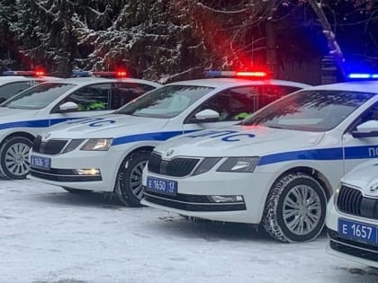 Двухлетнего мальчика и его брата по райцентру в Мордовии катал папа, который с трудом стоял на ногах 