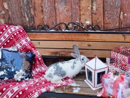 В зоопарке Саранска заработала “живая” фото-зона 