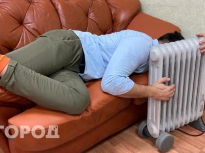 В Мордовии сохранится холодная погода с 13 по 19 мая