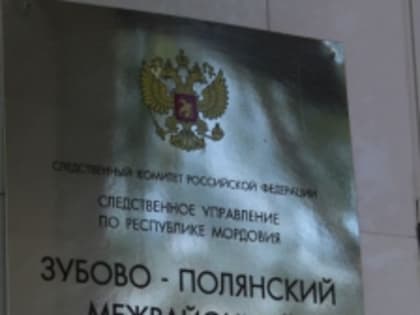 В Зубово-Полянском районе перед судом предстанет подросток-курьер, обвиняемый в мошенничестве