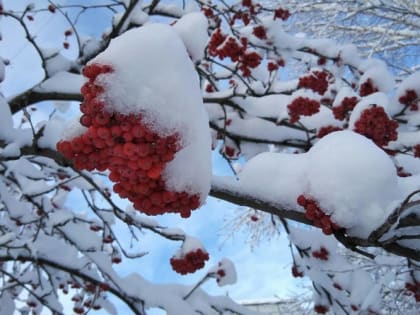 21 октября в Мордовии ожидается мокрый снег и дождь