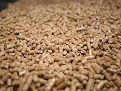 Как правильно укрывать растения на зиму опилками