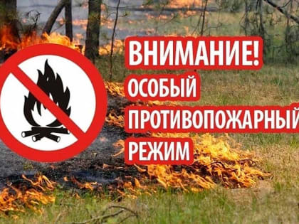 На территории Республики Мордовия начал действовать особый противопожарный режим!