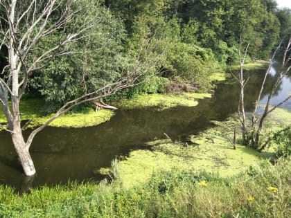 Духов день 2023: не делайте этого 5 июня, иначе беды не избежать