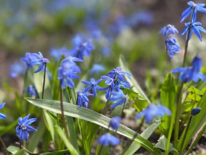 Синоптики рассказали о погоде в Мордовии на выходные